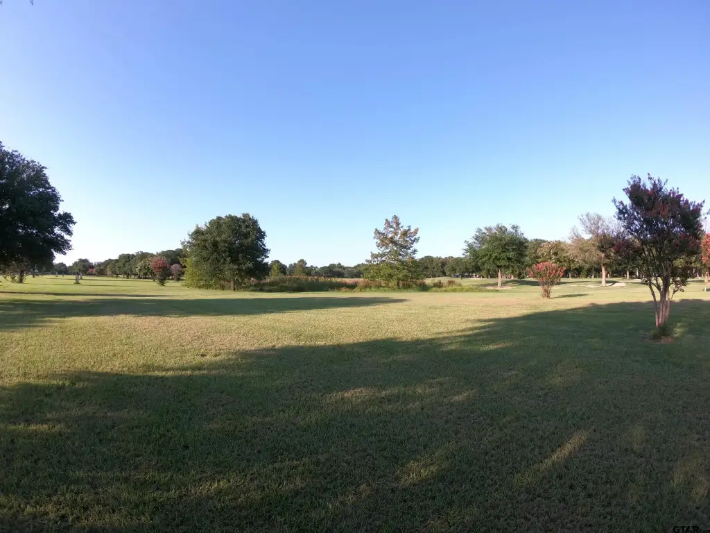 Picture 5