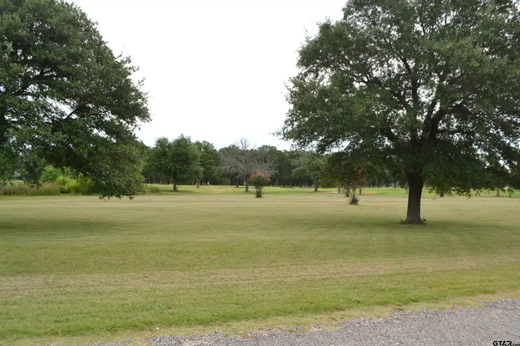 Picture 11