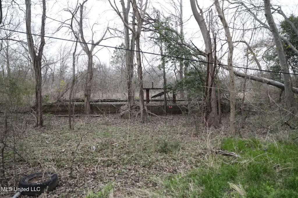 Picture 9