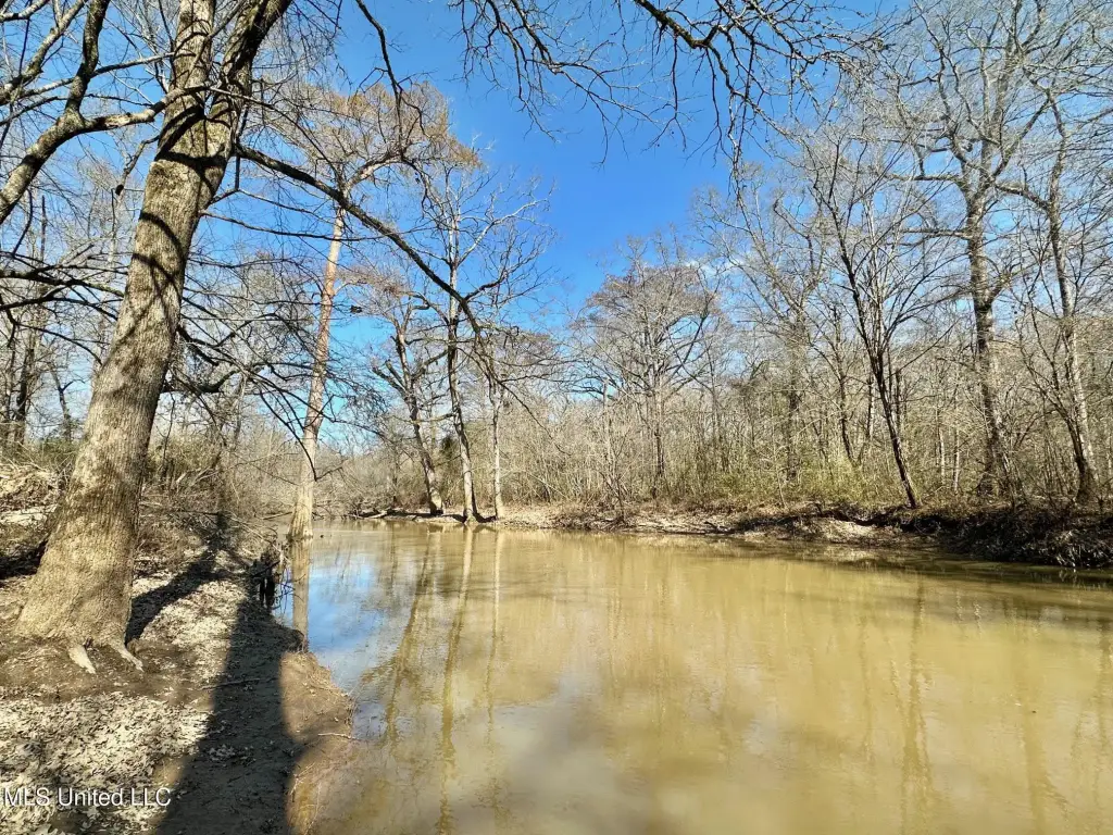 Picture 41