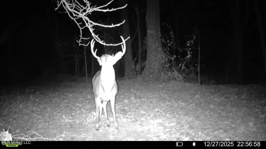 Picture 14