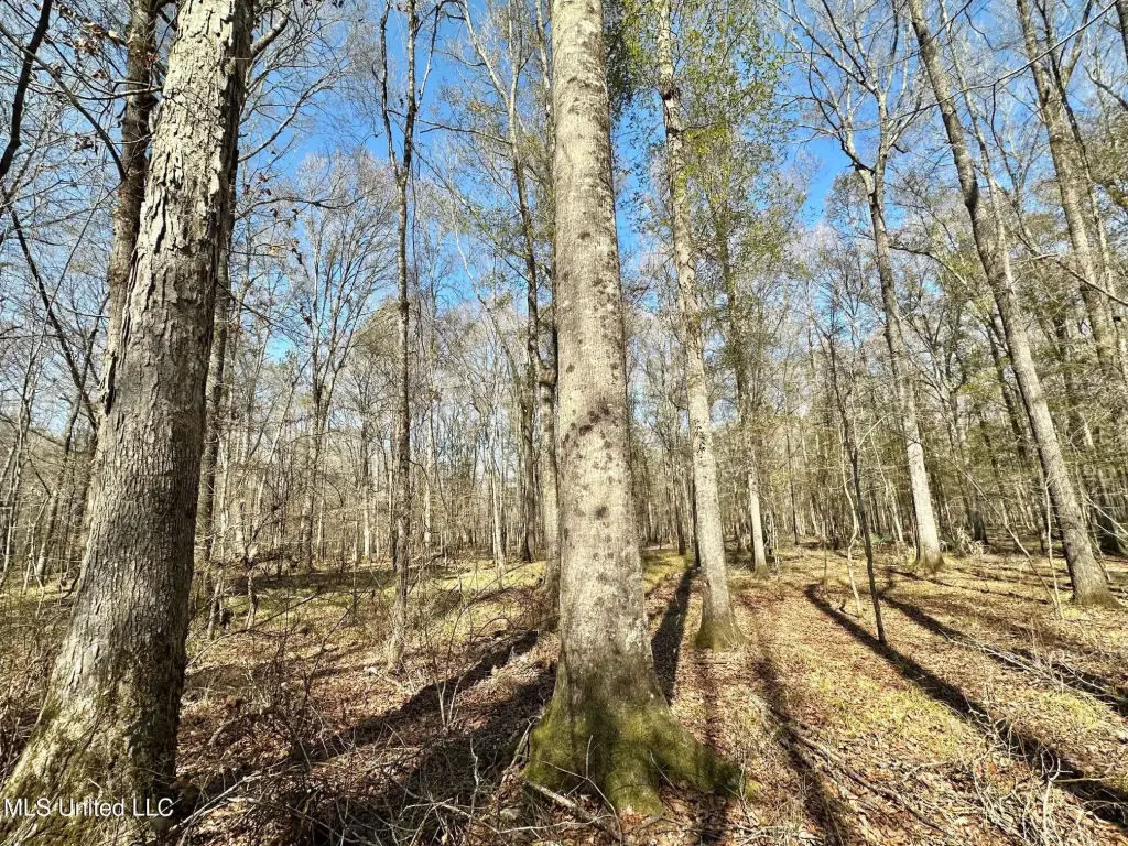 Picture 41