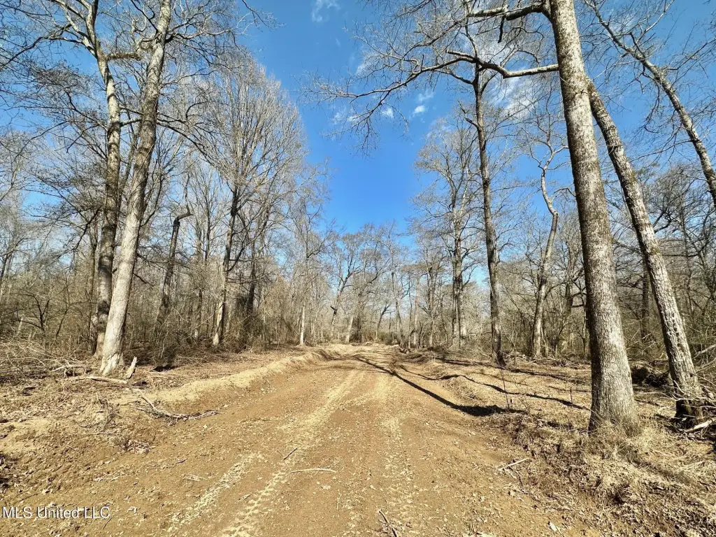 Picture 17