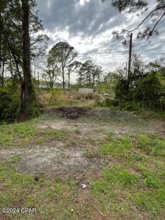 Picture 6