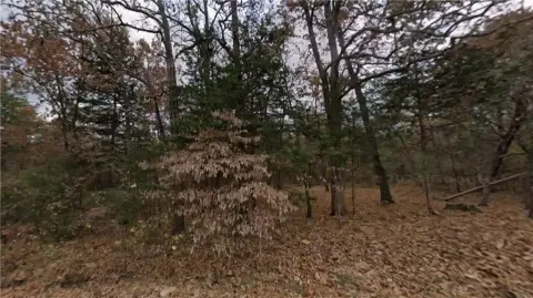 Residential Lot Near Bull Shoals