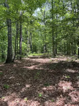 Greenwood Springs Land For Sale