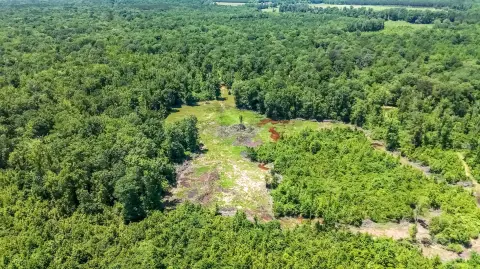 1297 Acres in Steens, MS