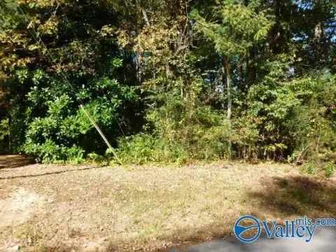 Land For Sale Guntersville, AL