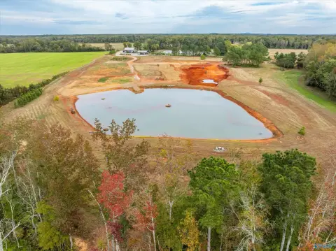 47 Acres in Elkmont, Alabama