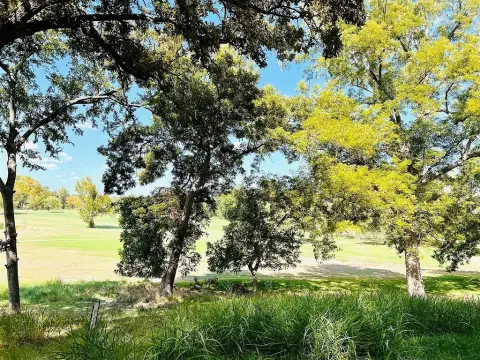 Golf Course Lot with Trees