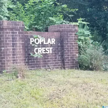 Residential Lot with Mountain Views