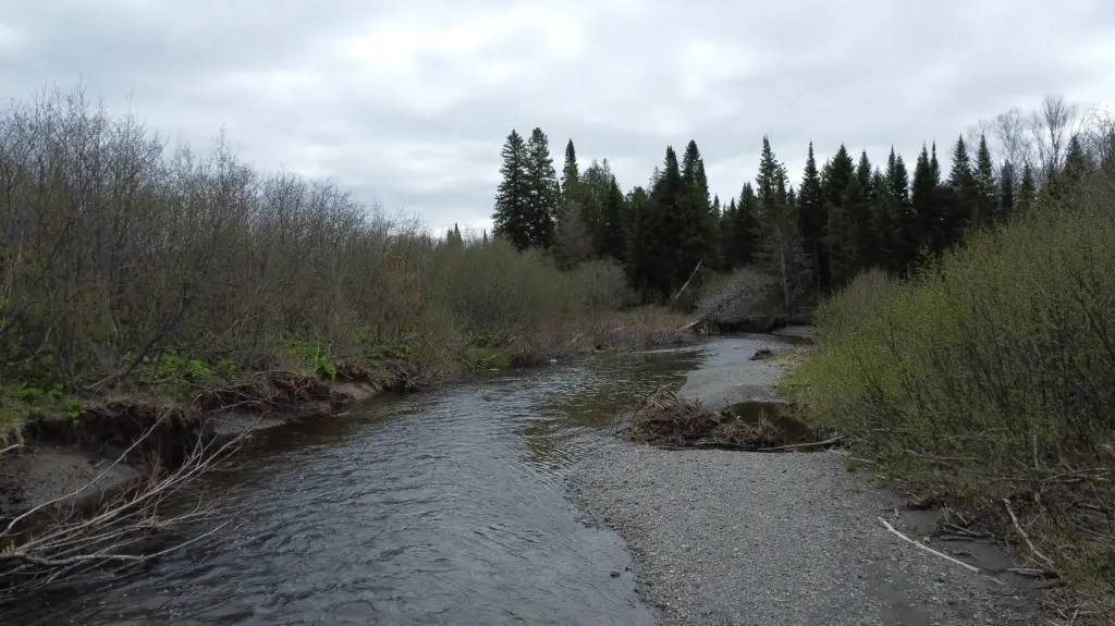 Picture 14