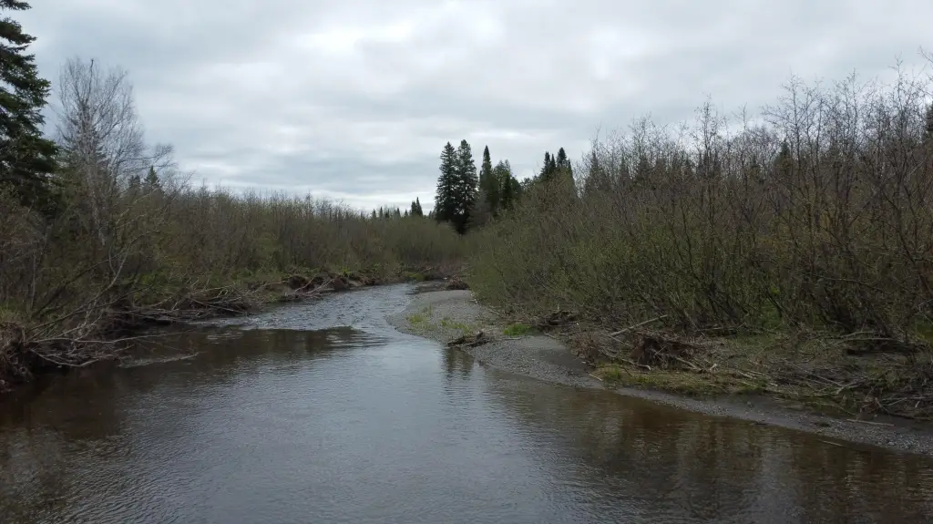 Picture 15