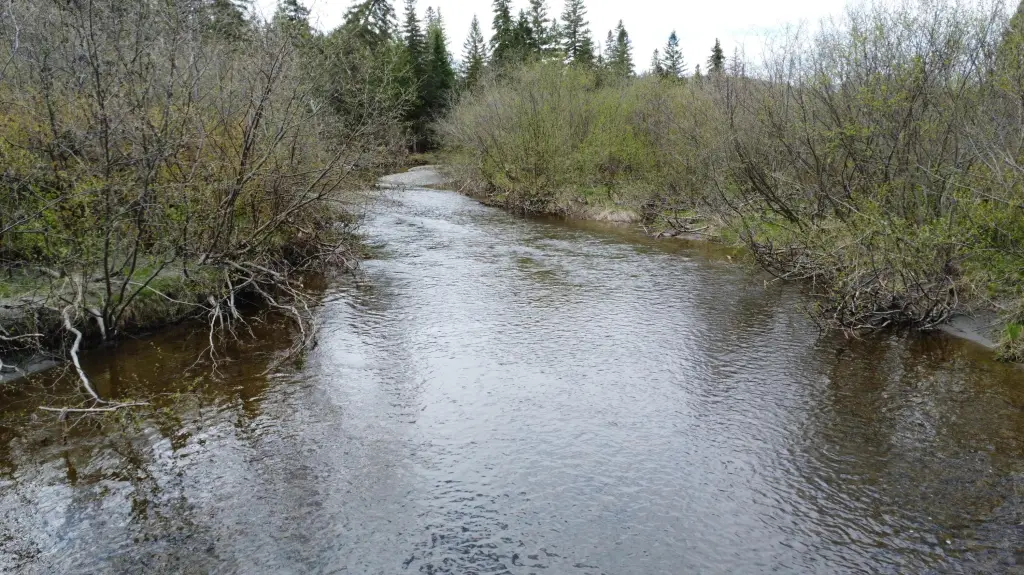 Picture 16