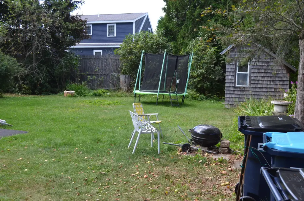Picture 41