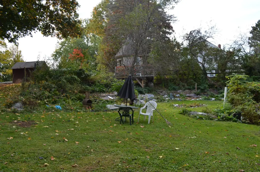 Picture 14