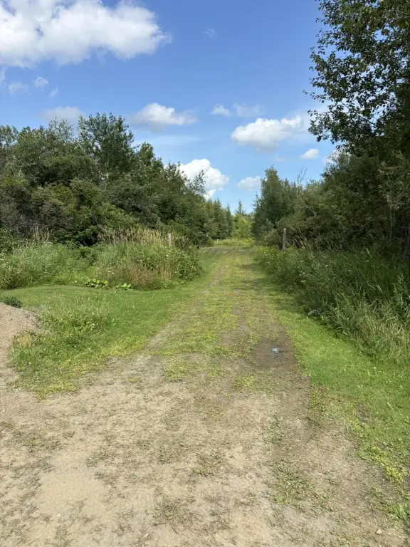 Picture 19
