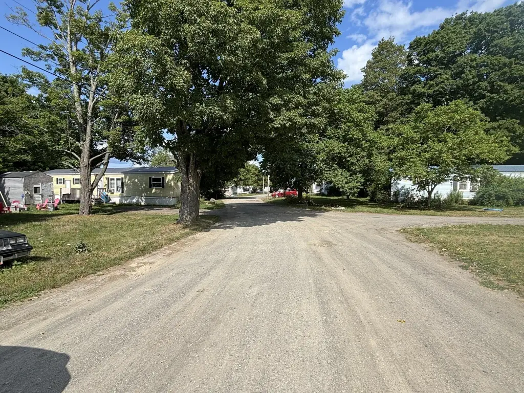 Picture 12