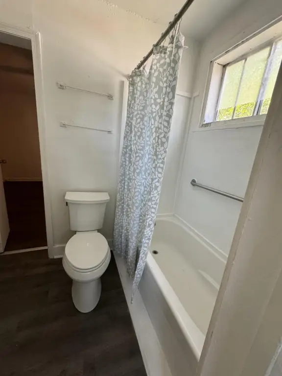 Picture 30