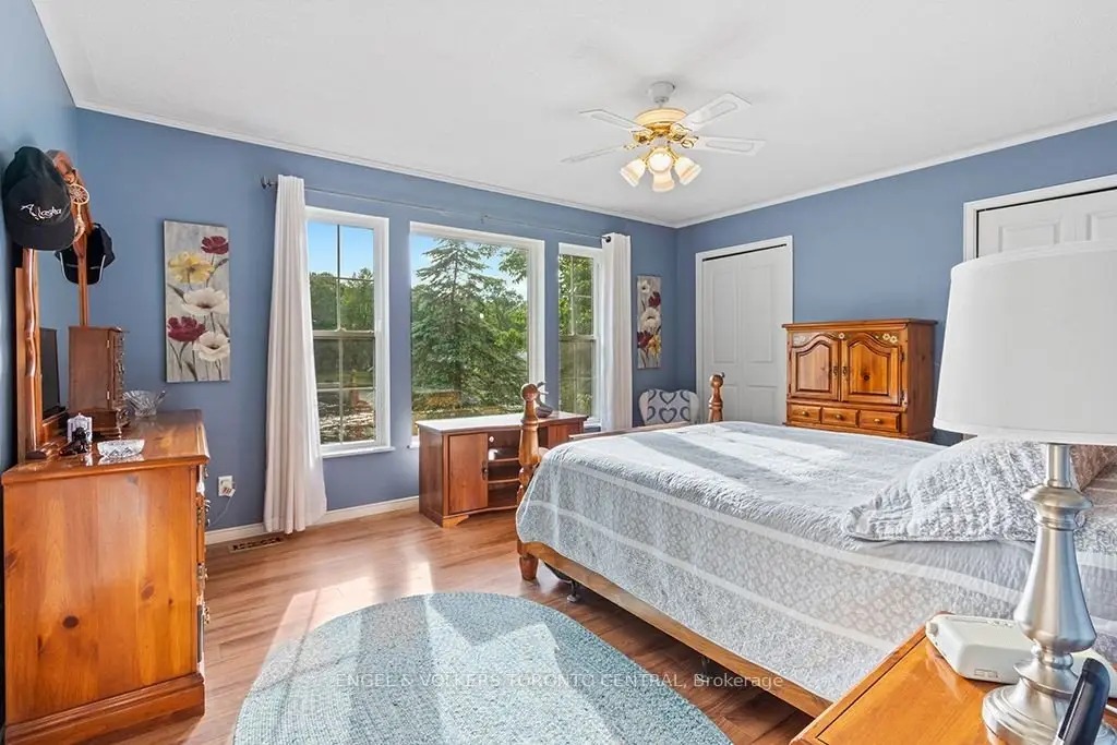 Picture 24