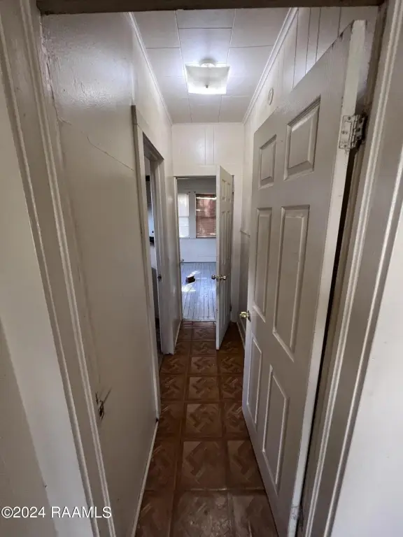 Picture 38