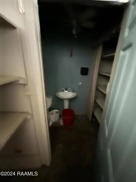 Picture 14