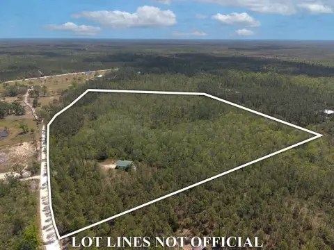 20+ Acre Steinhatchee Land Parcel