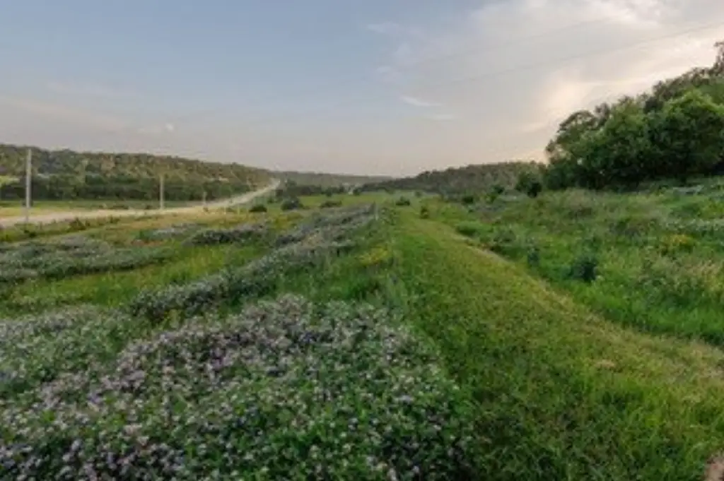 Picture 7
