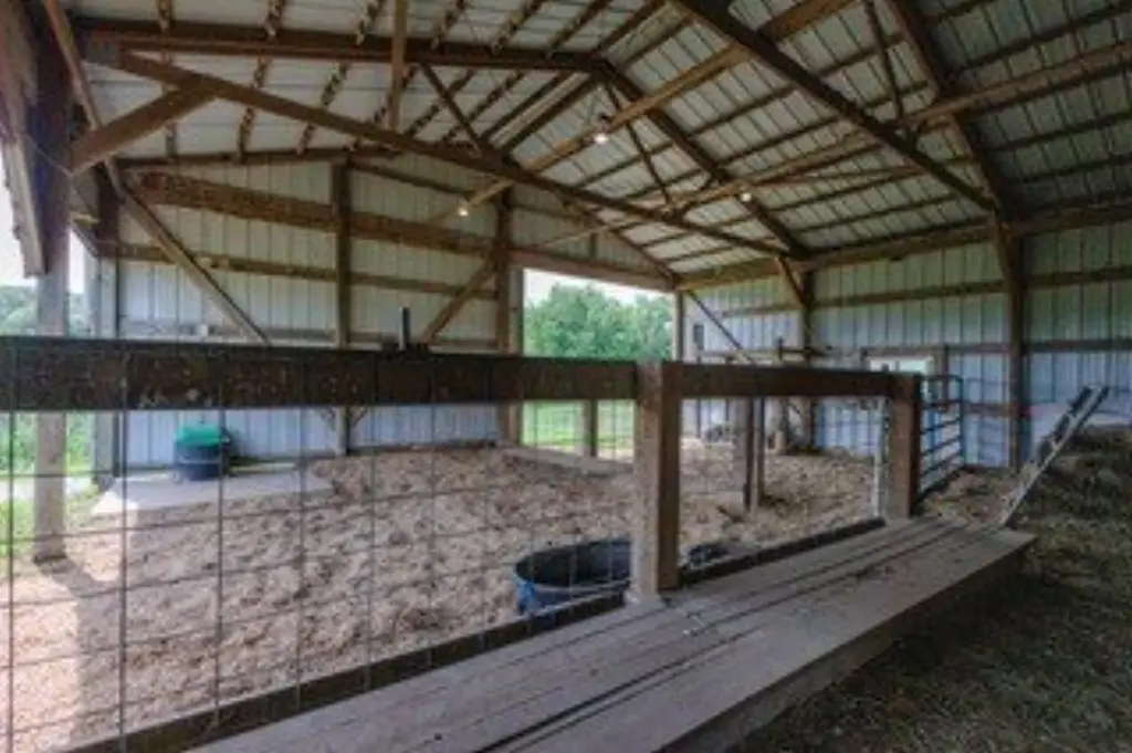 Picture 6