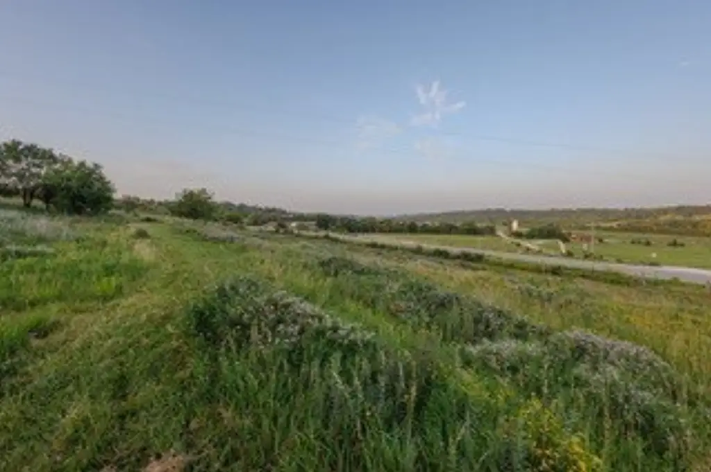Picture 9