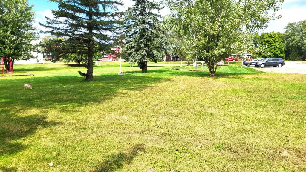 Picture 22