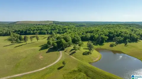 Estate with Tudor Home