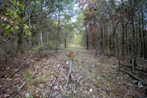 Hardwood Timber Land For Sale