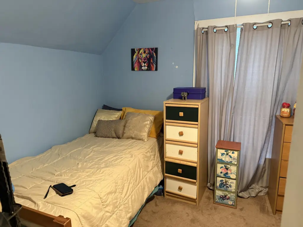 Picture 36
