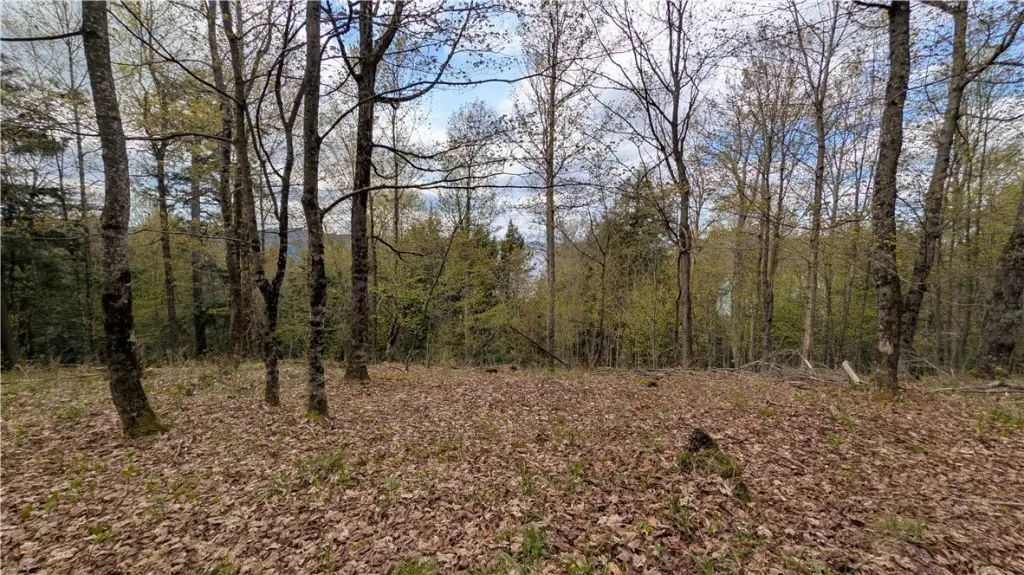 Picture 27