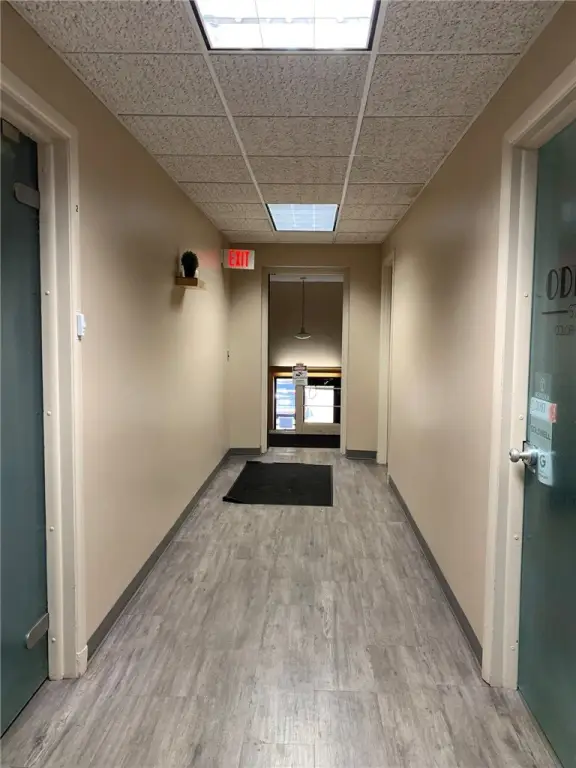 Picture 16