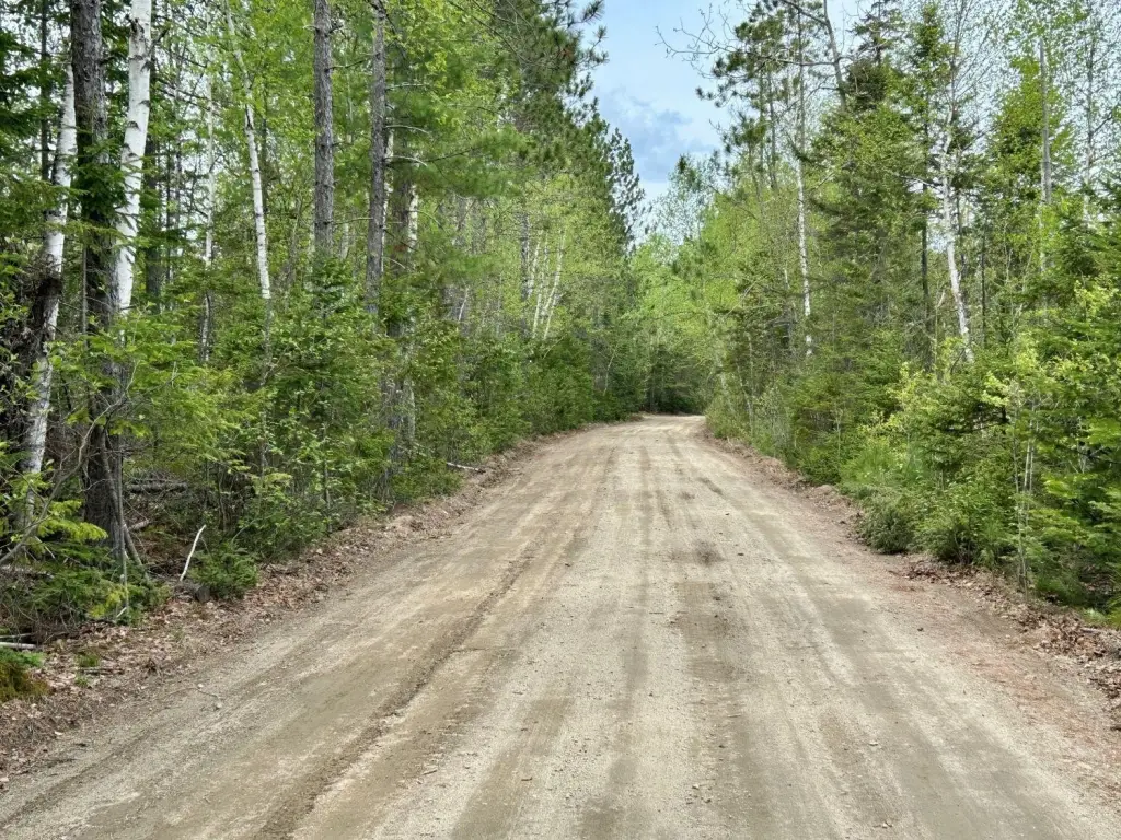 Picture 4
