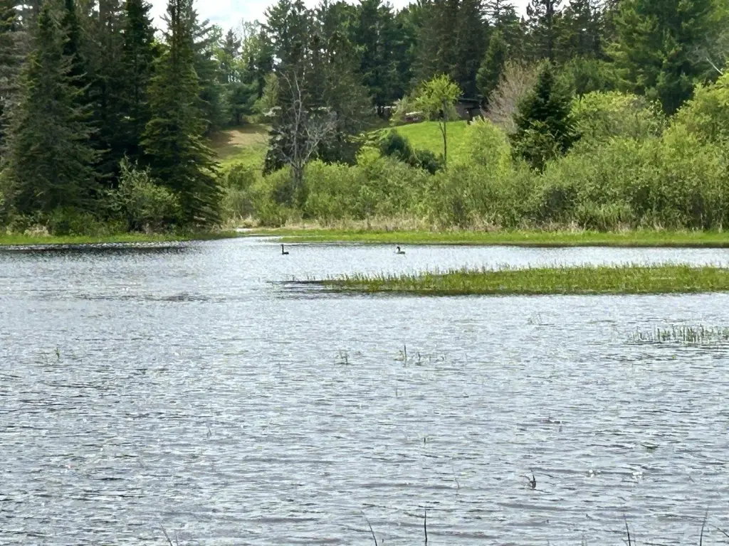 Picture 15