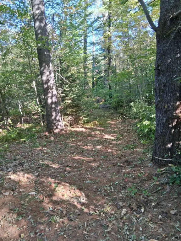 Picture 4