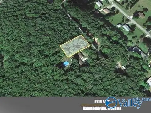 Wooded Building Lot Available