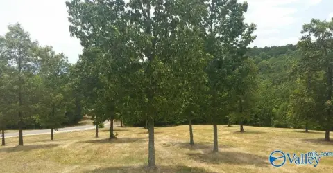 Weiss Lake View Building Lot