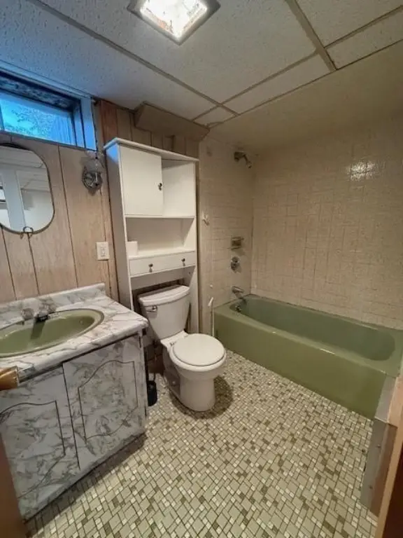 Picture 31