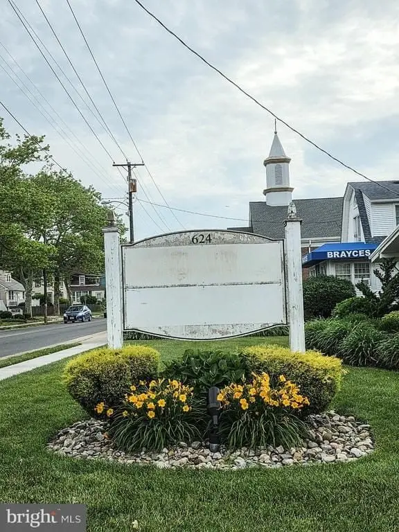 Picture 5