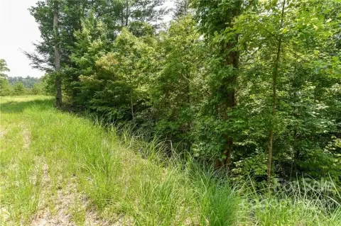 Residential Land in Marshall, NC
