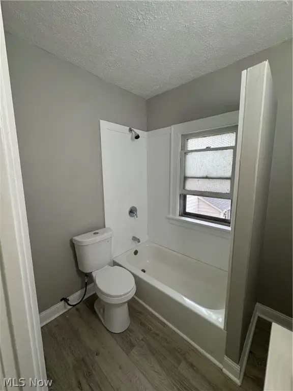 Picture 19