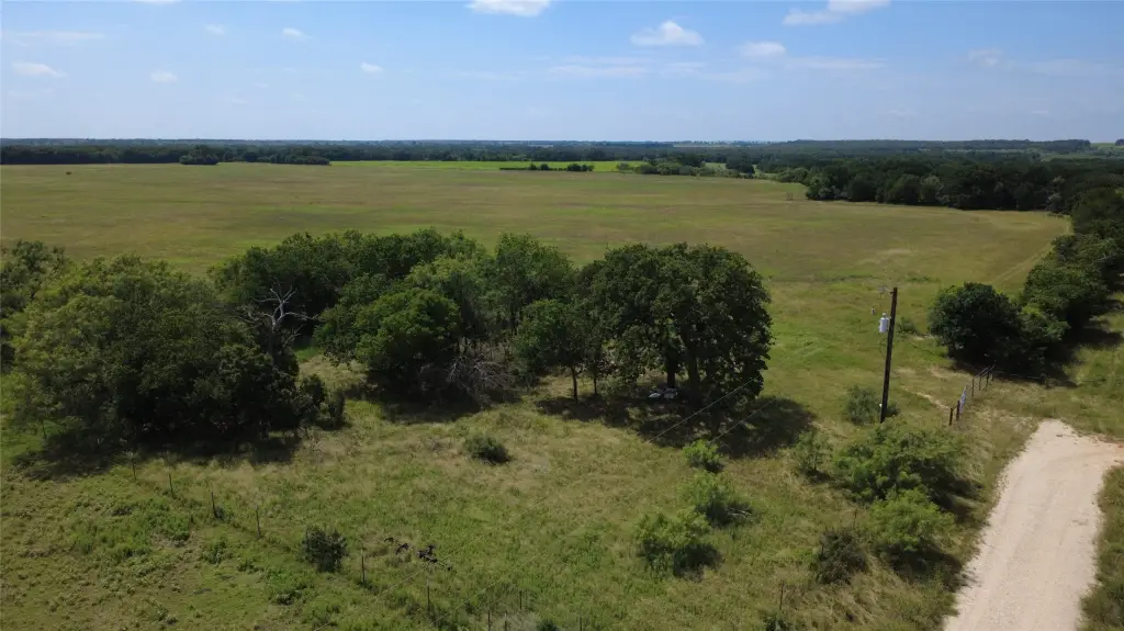 Picture 13