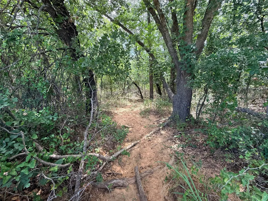 Picture 19