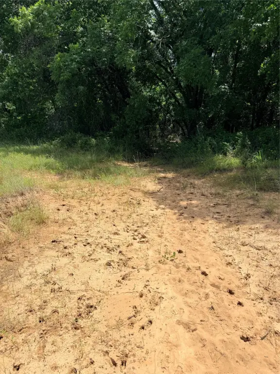 Picture 20