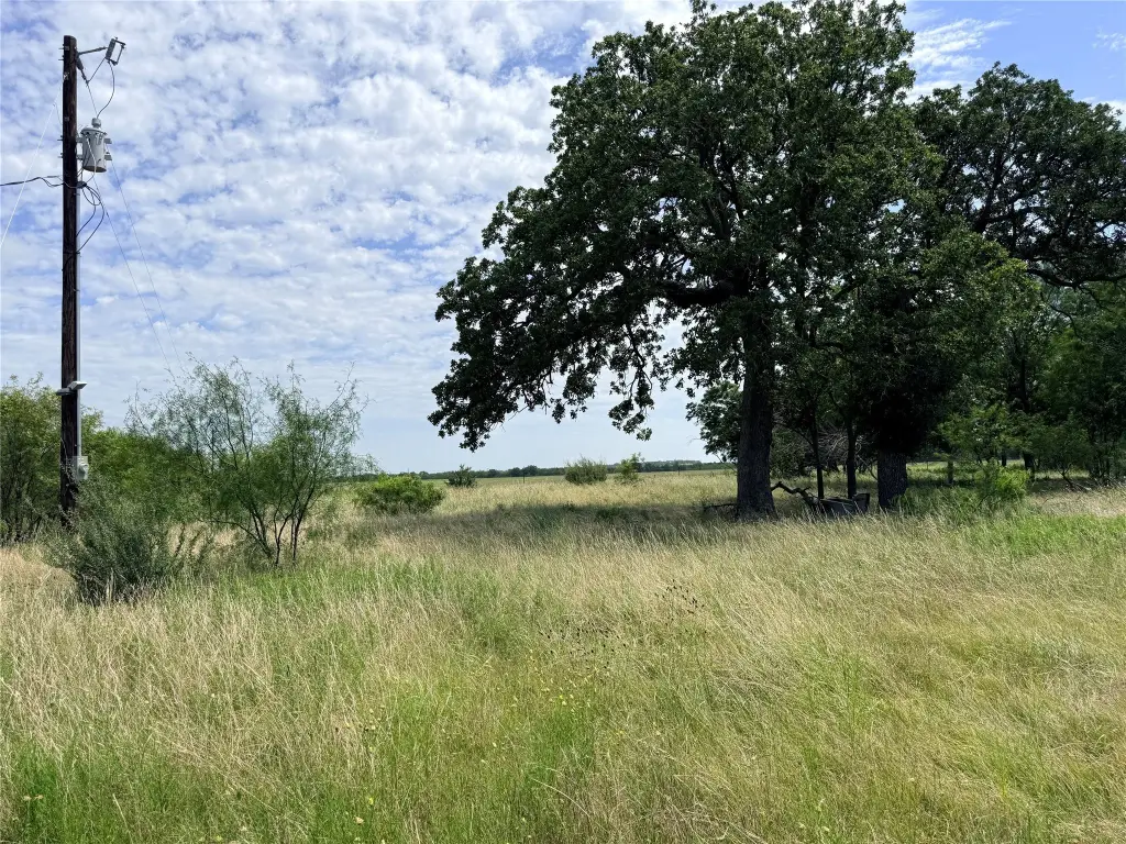 Picture 24