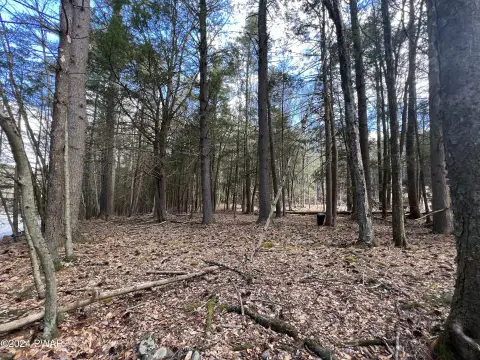 Residential Land in Hawley, PA